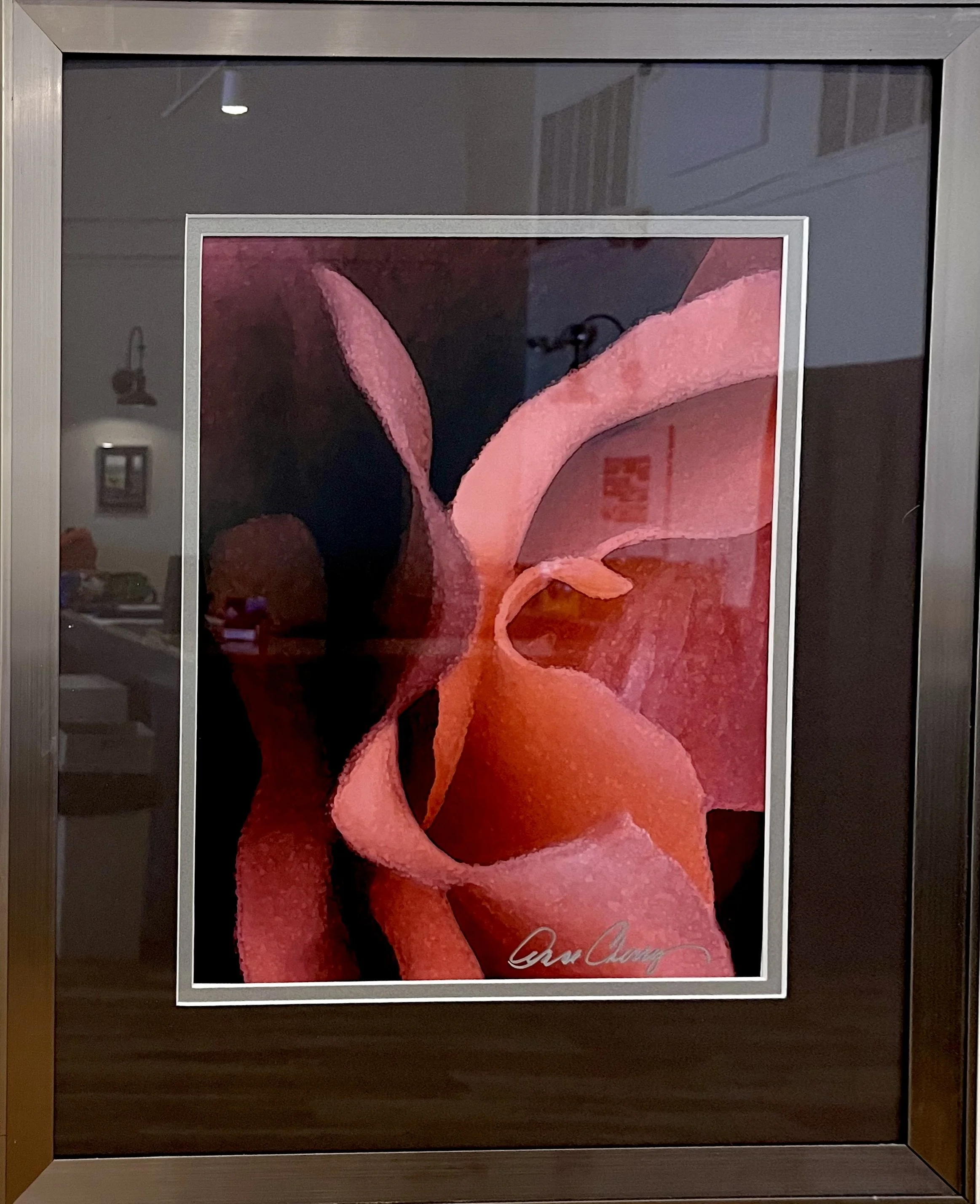 Tickled Pink by Anne Cherry