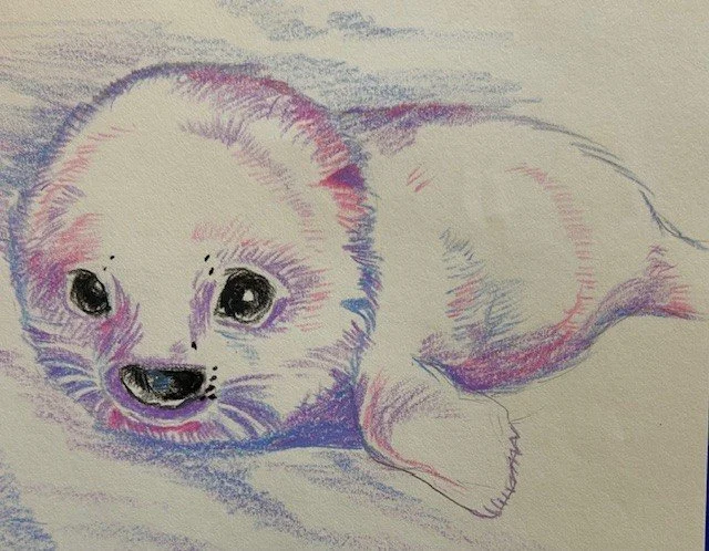 animals of all the continents.jpg