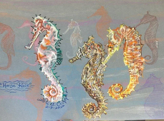 Stunning Sea Creatures