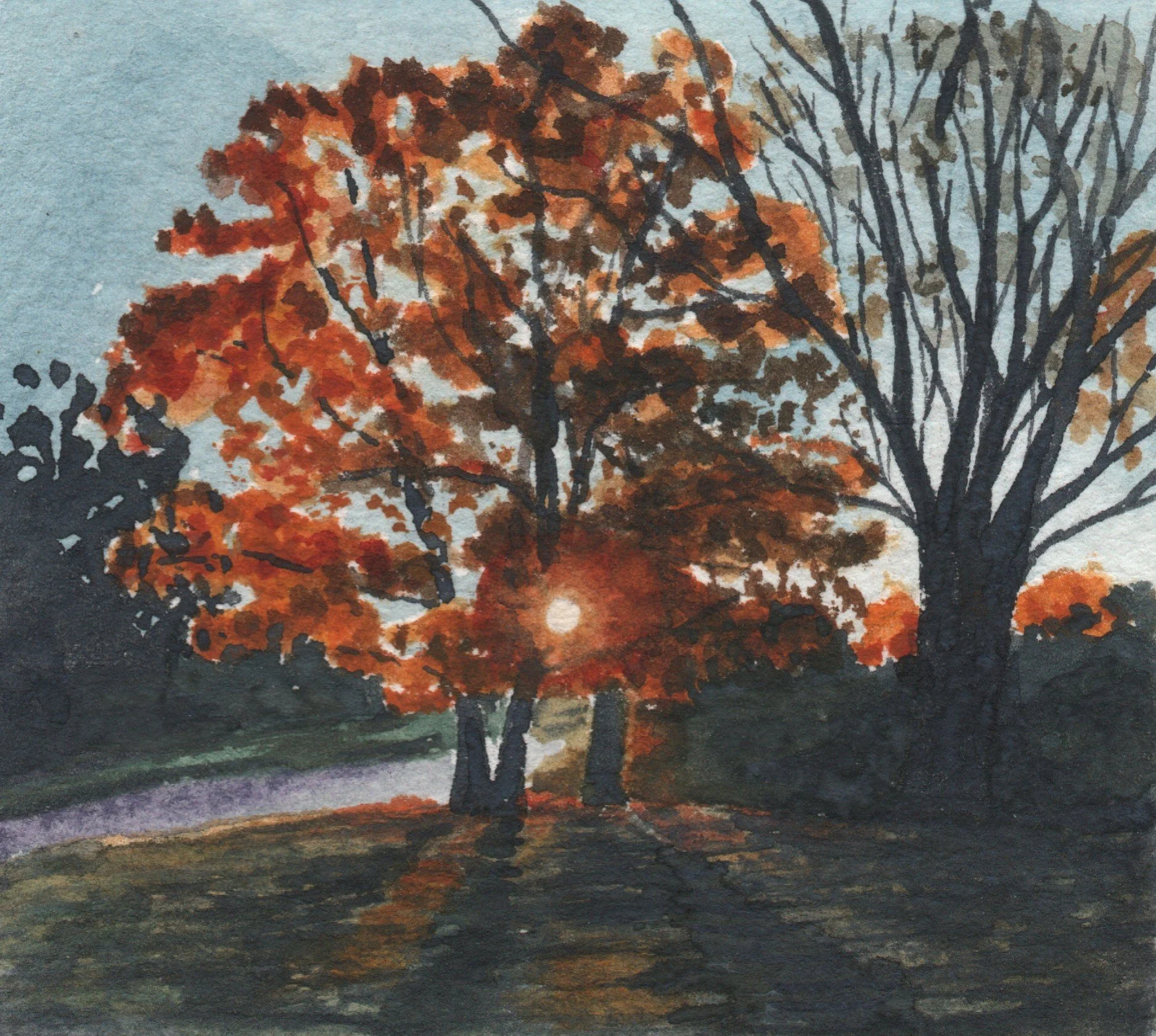 Thursday Evening Beginning Watercolor - Beginning October 29