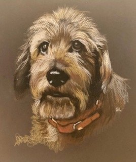image1.jpeg