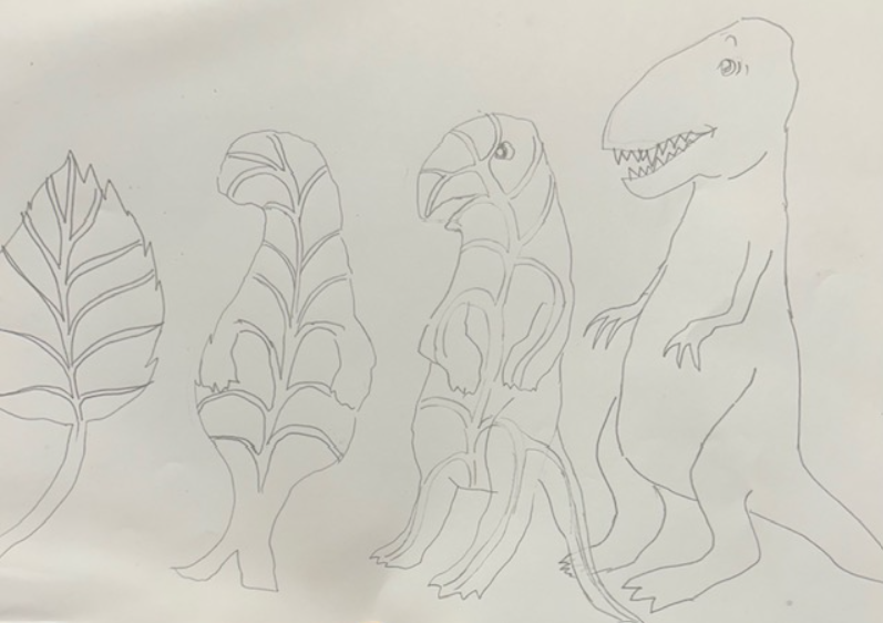 morphology.png