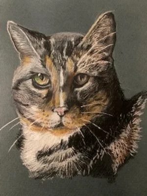 pastel pet drawing 1.jpeg