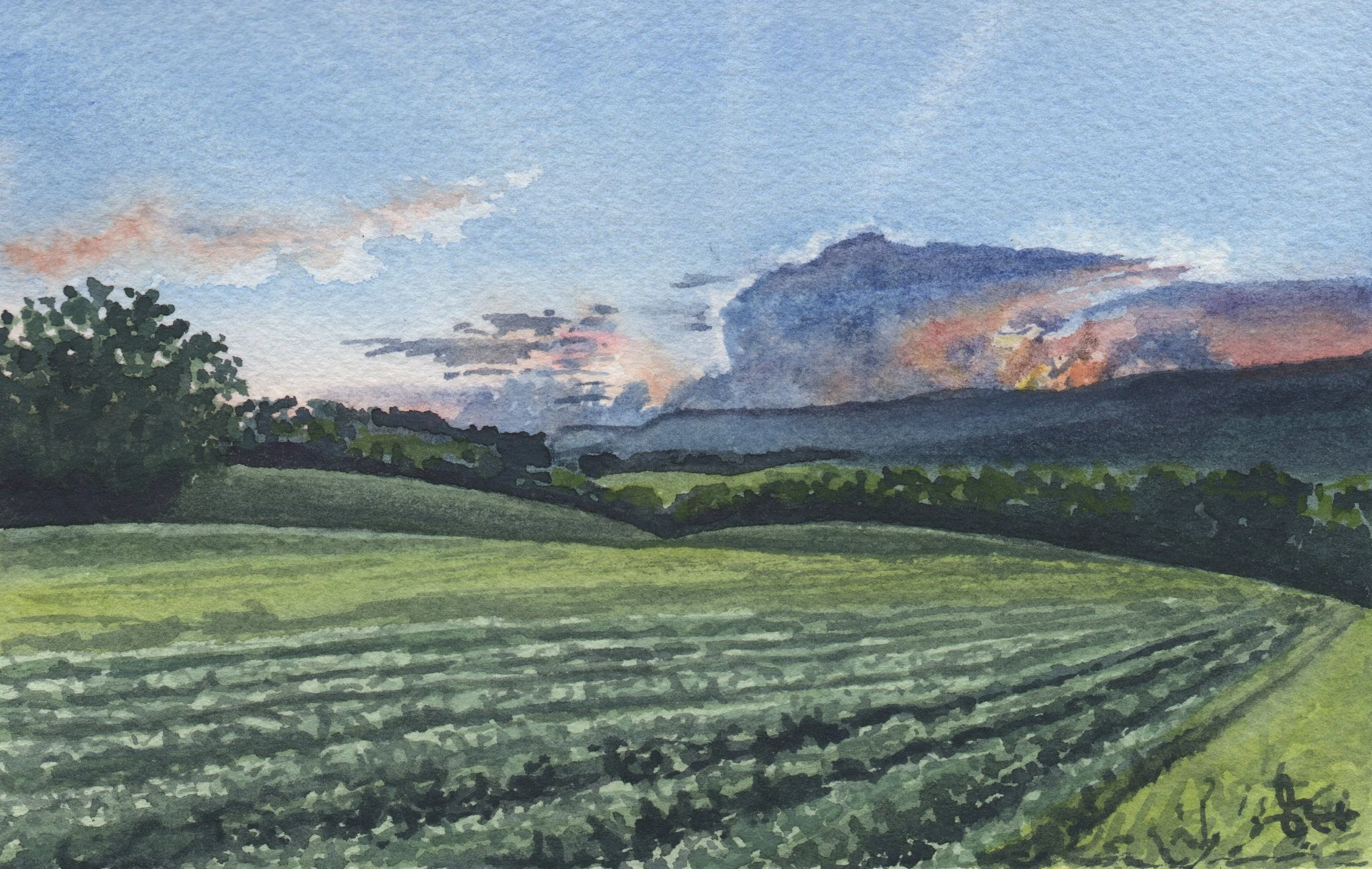 August landscape 2024.jpg