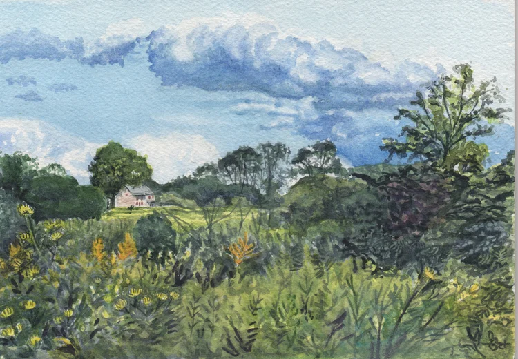 watercolor.png