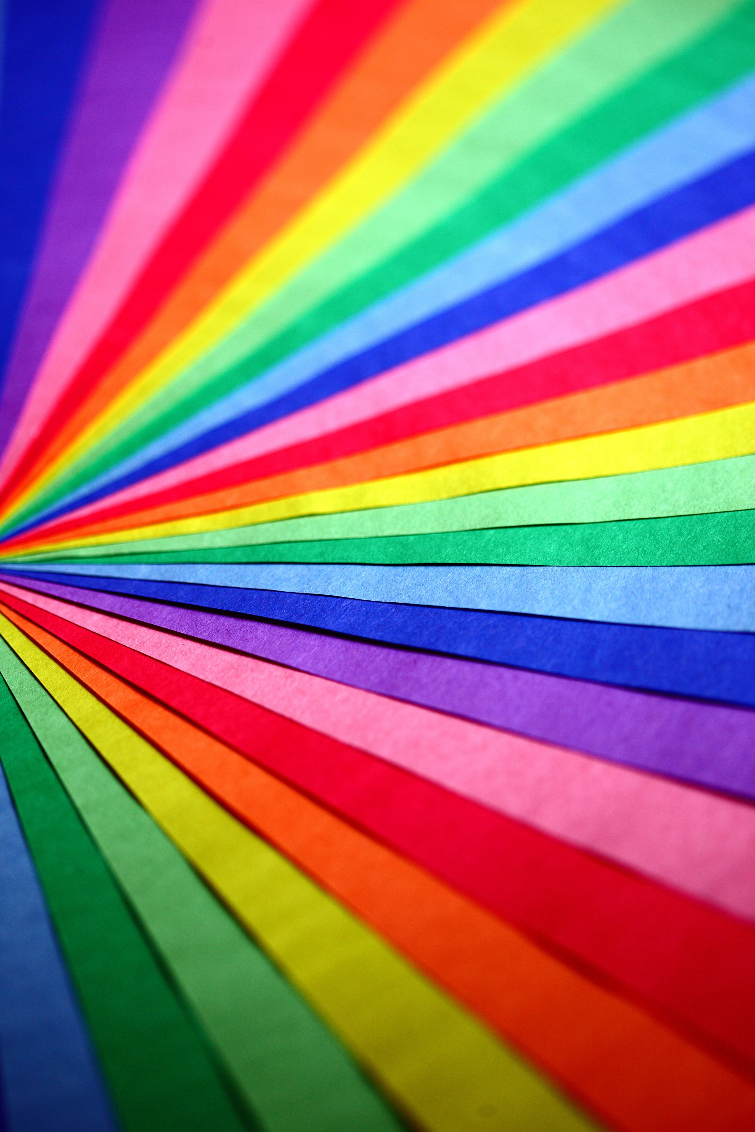 pexels-katierainbow-8559022.jpg