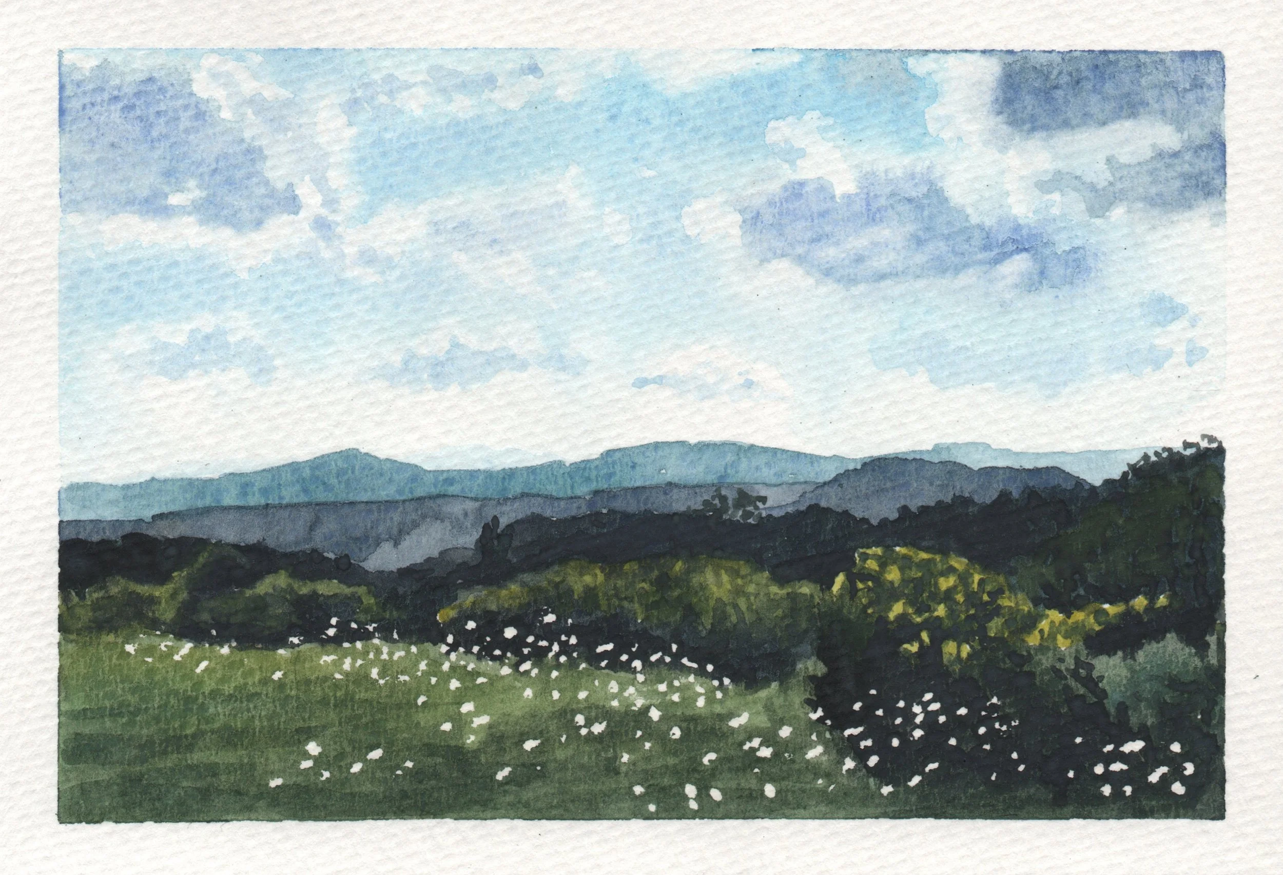 July Landscape 2025.jpg