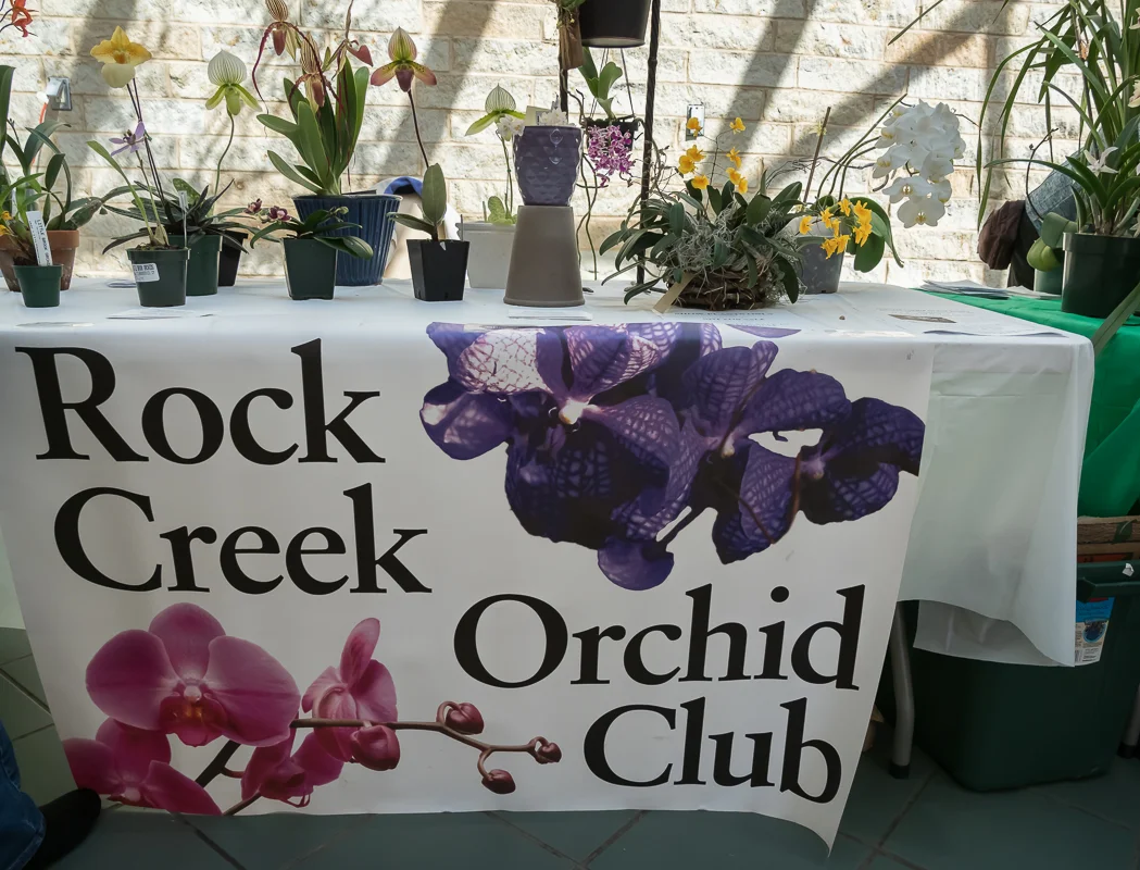 FOBG Orchid Sale 2019 (46 of 49).jpg