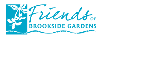 Summer Twilight Concert Series