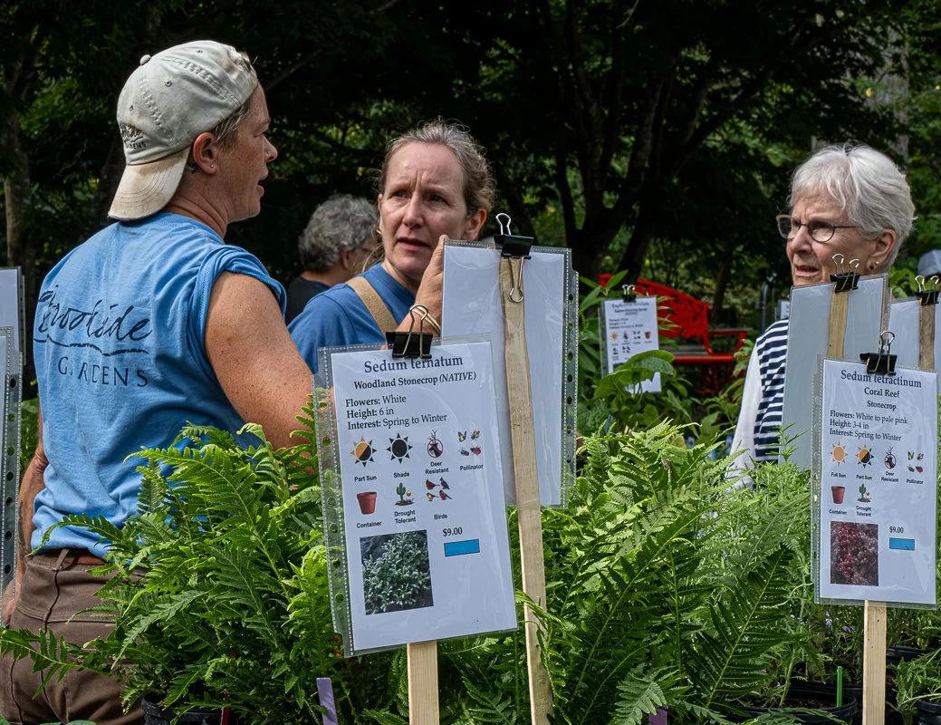 FOBG Plant Sale 2026 09 12-4.jpg
