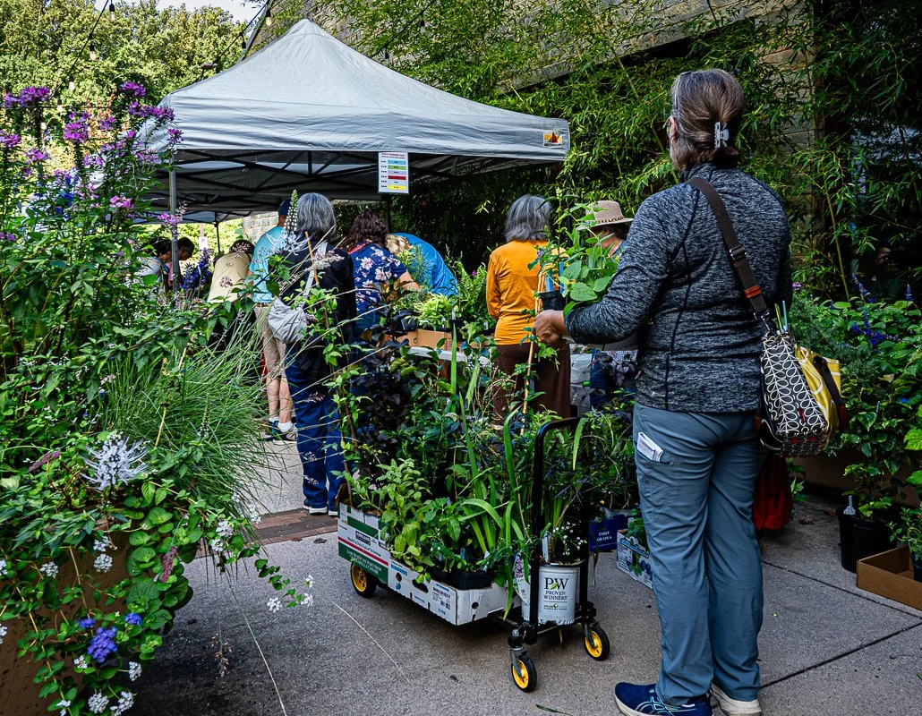 FOBG Plant Sale 2026 09 12-8.jpg