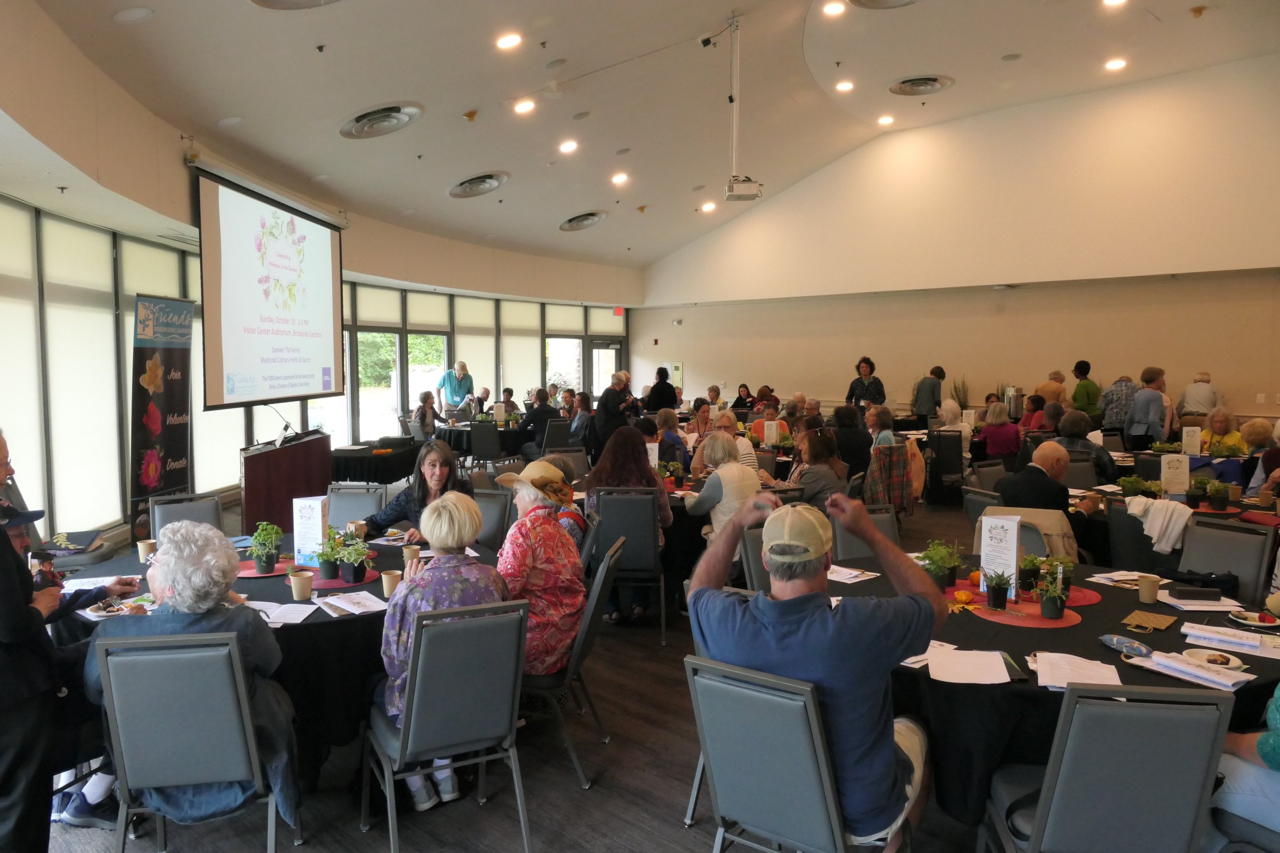 Celebrating Wellness in the Garden