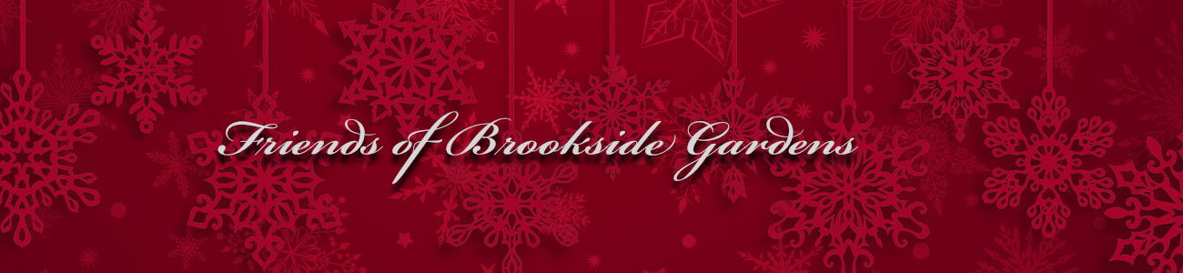Winter_banner_2022.png