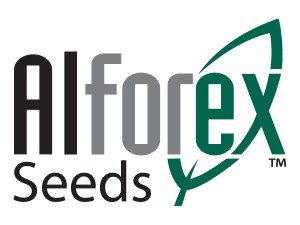 Alforex_logo.jpg