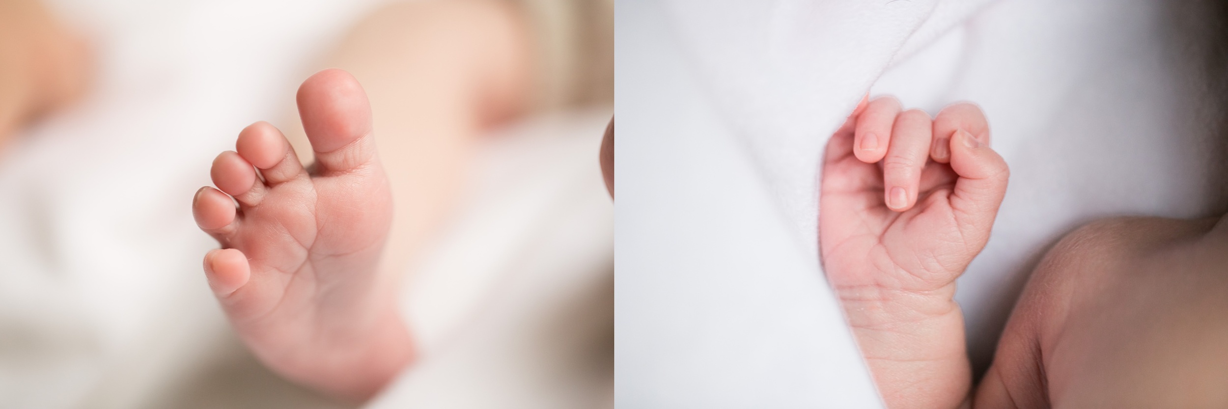 BabyParker-7.jpg