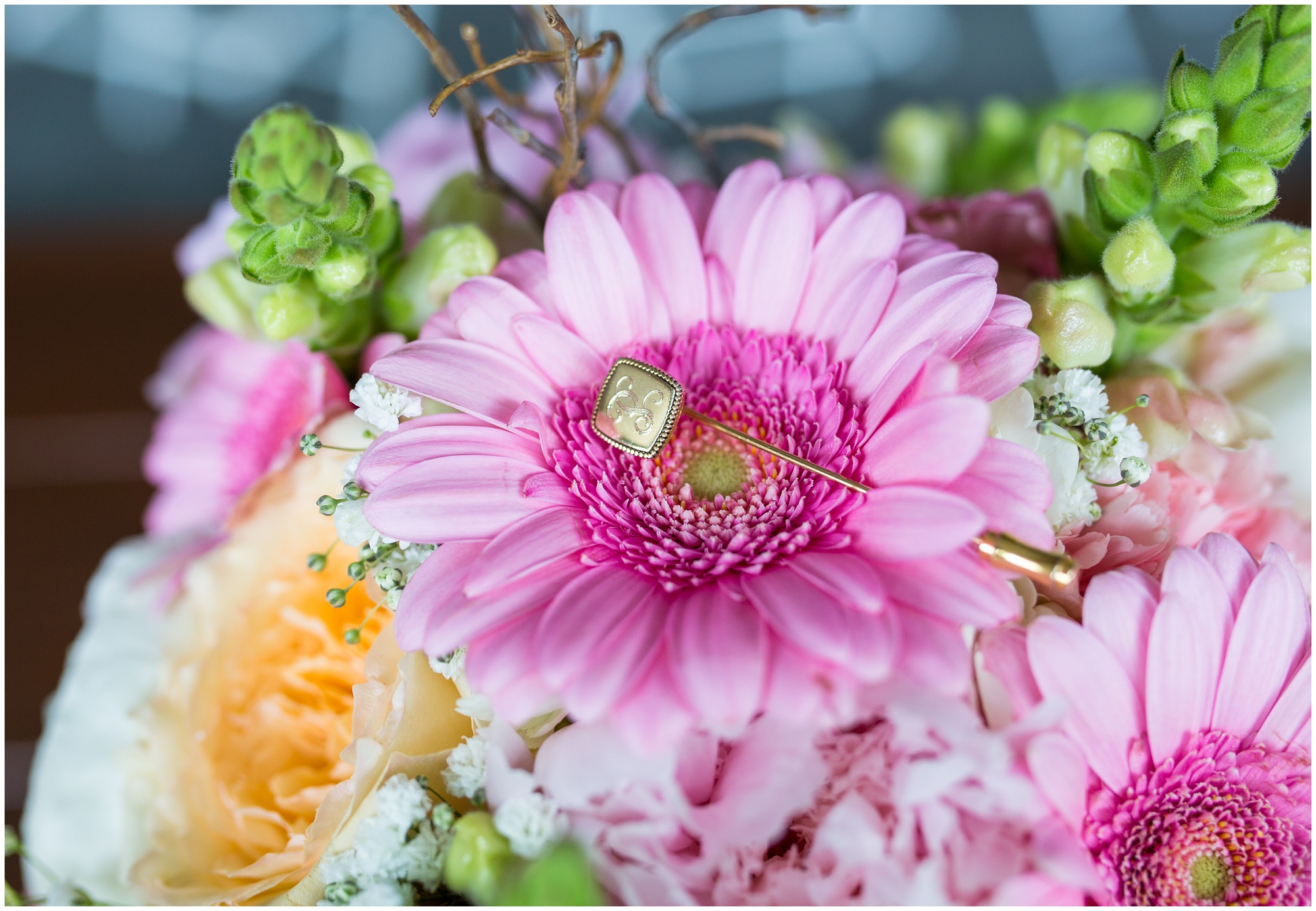 AshleyThomasPhoto_0110.jpg