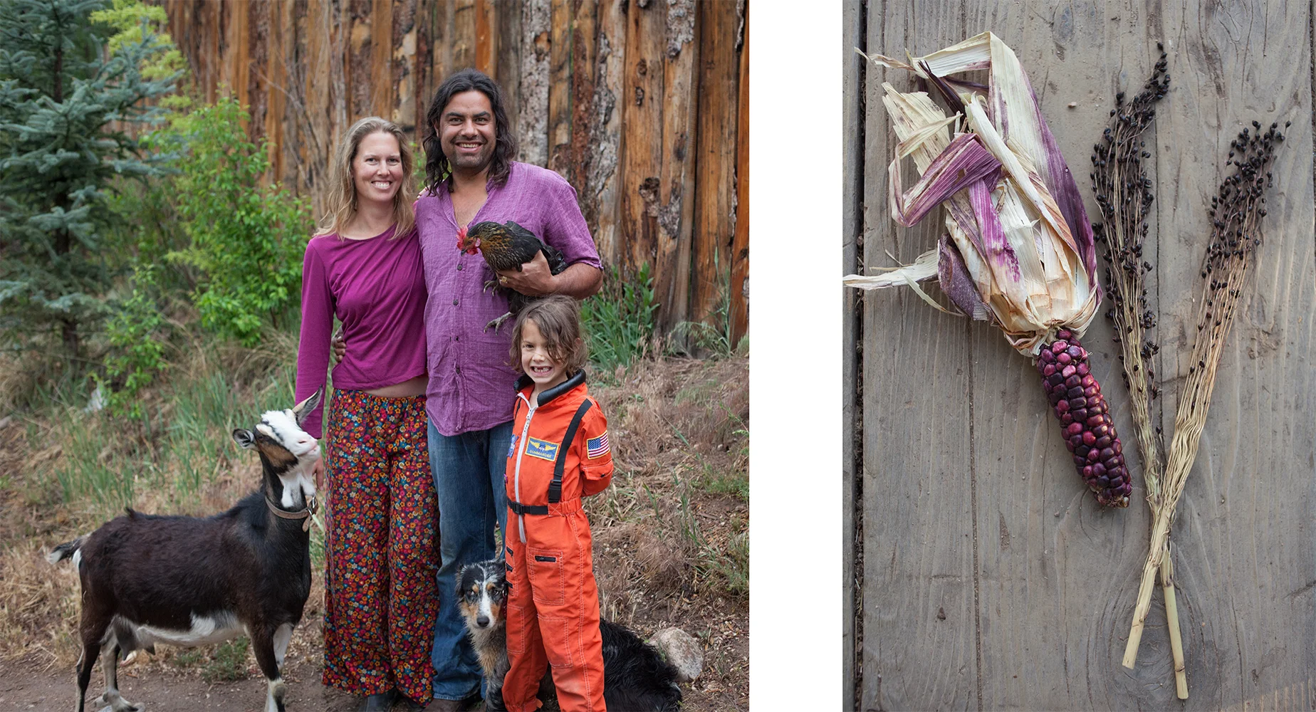 Molly, Mesa, and Lucien, with Katie, Blackie, and Apple.