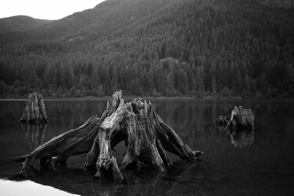 Rattlesnake Lake