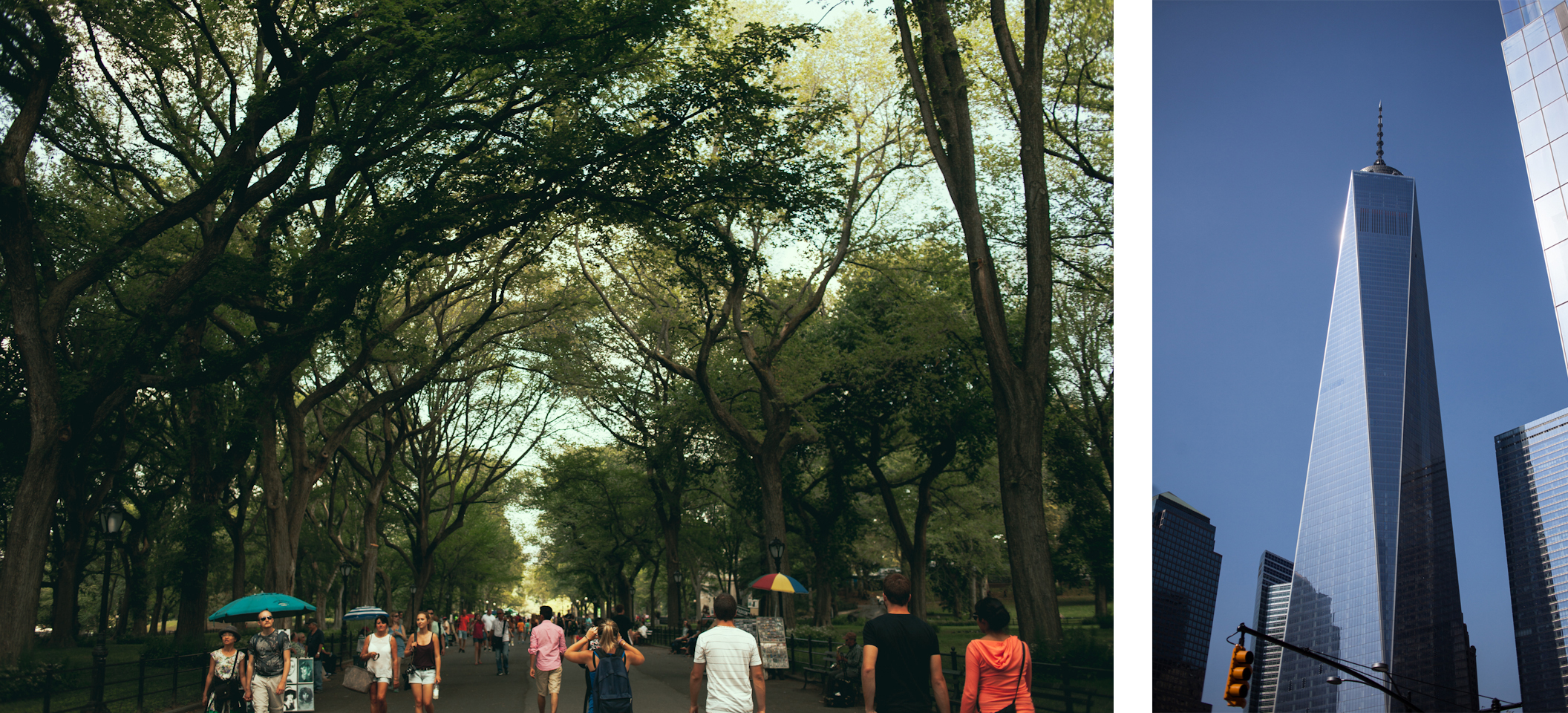 Central Park | Freedom Tower