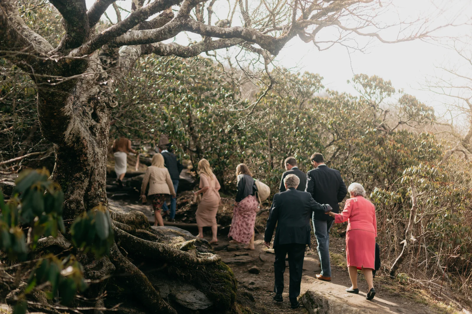 Wedding party hikes up the trail to Craggy pinnacle for a wedding ceremony.