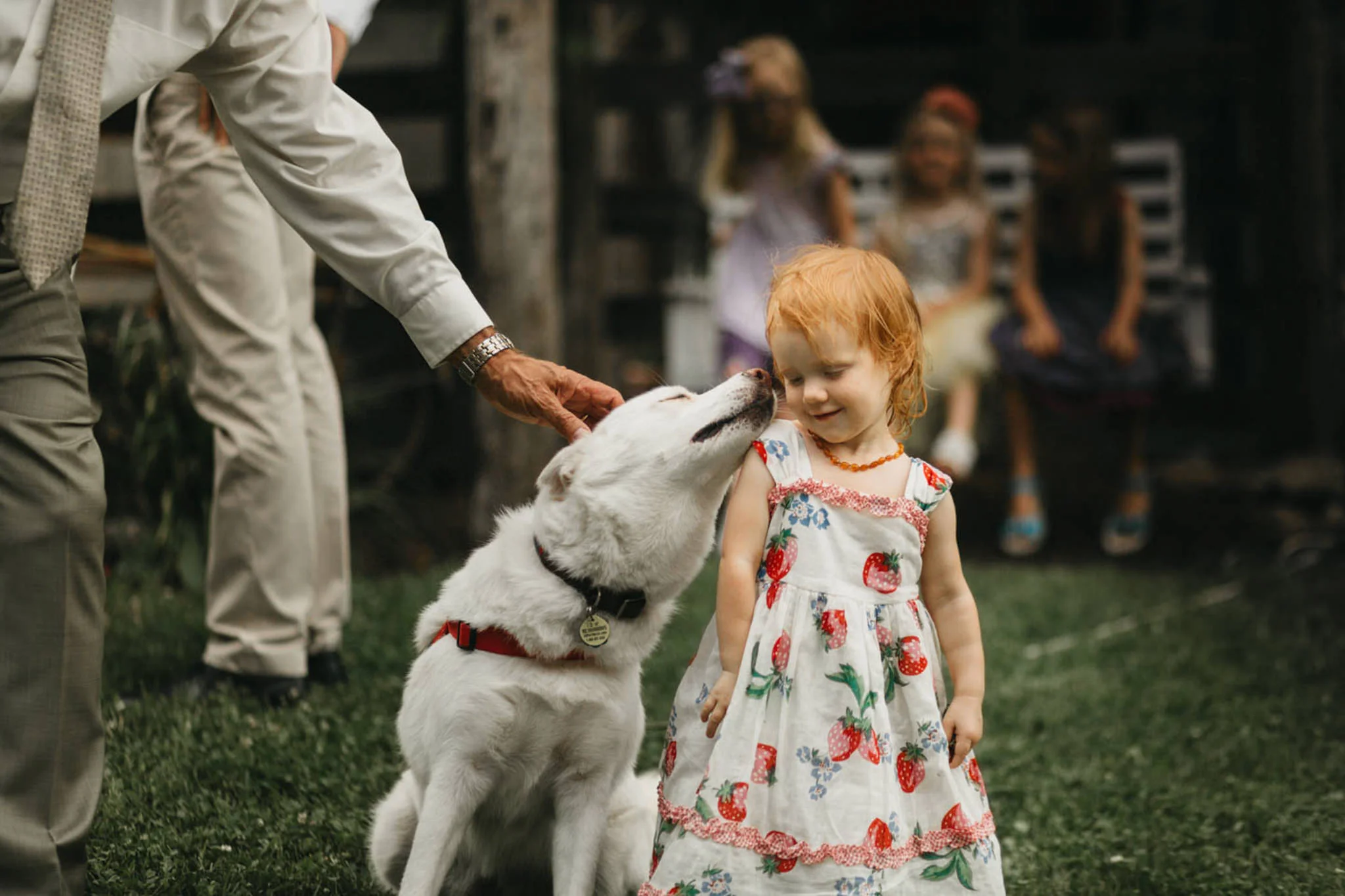 Asheville_wedding_photographer-35.jpg