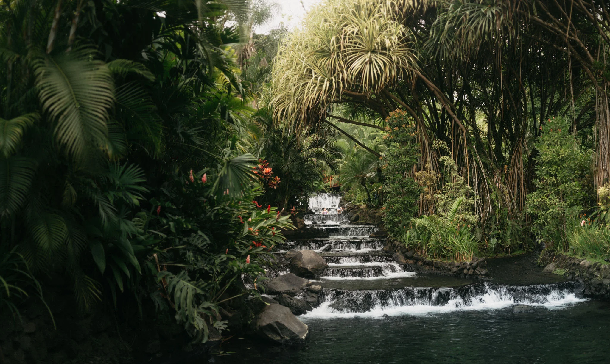 Honeymoon Costa Rica-.jpg