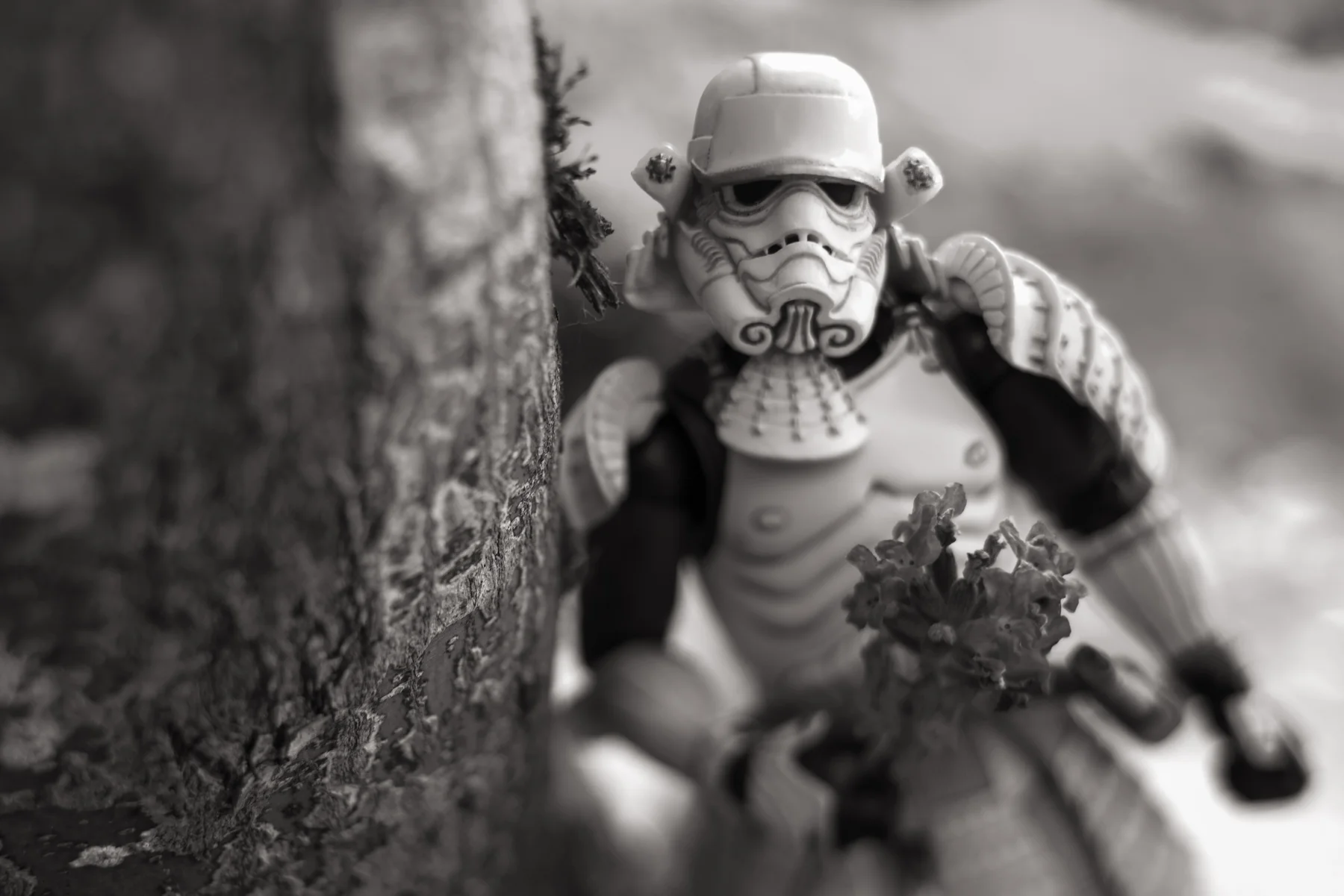 Storm Trooper Ted, he loves long walks on the beach and cleaning his blaster.