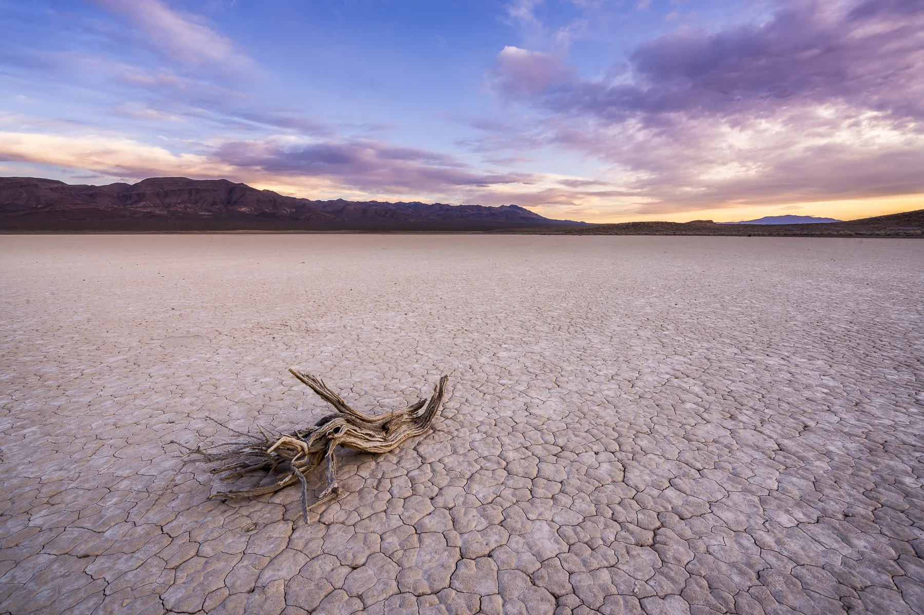 Bonnie Claire Playa, Death Valley