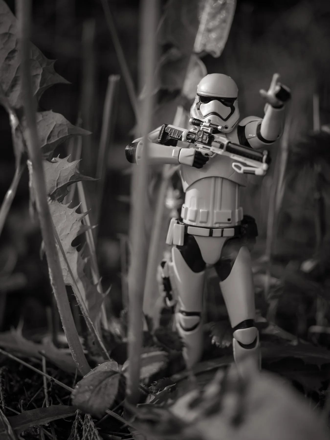 My Endless Fascination with Photographing Storm Troopers