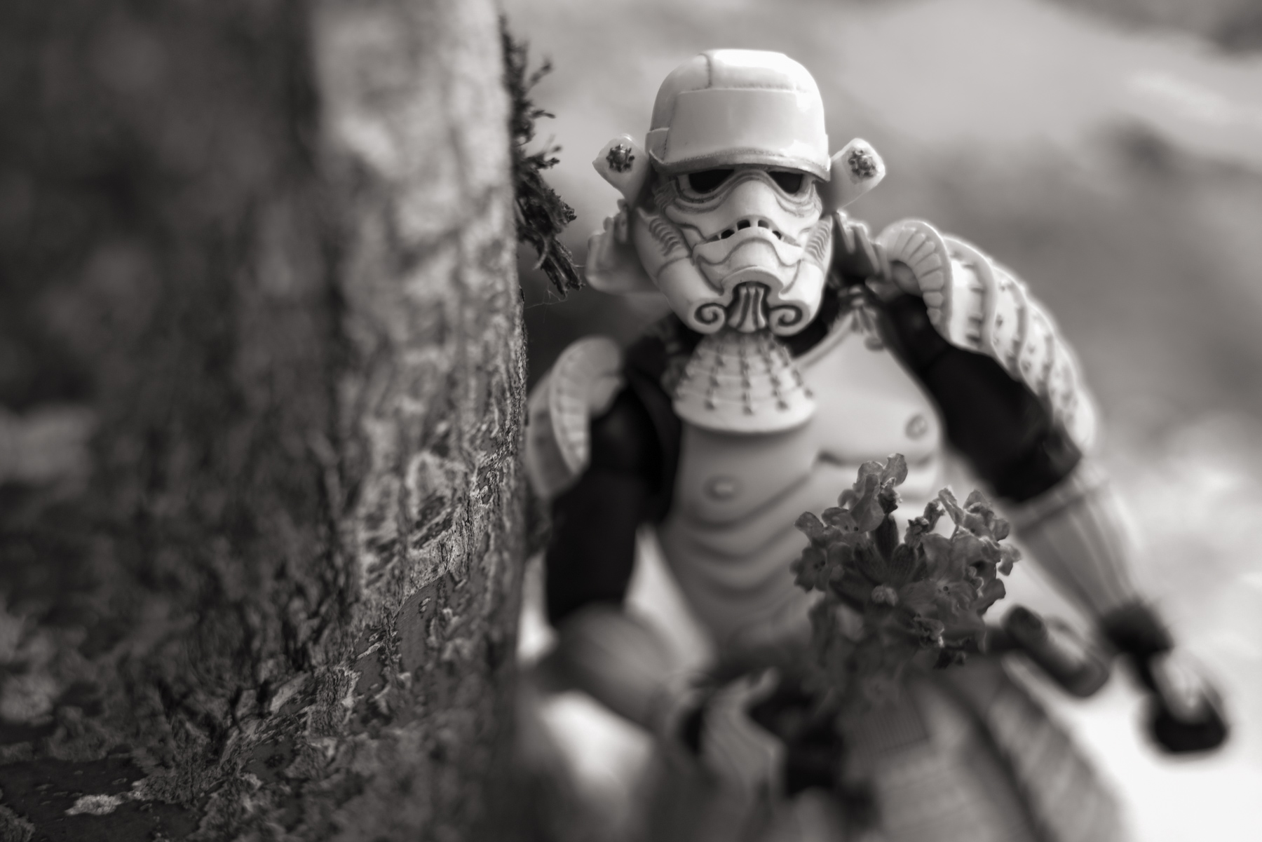 Copyright Kris Vockler