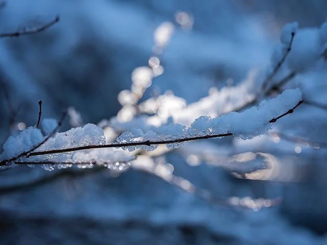 Winter is Worn http://bit.ly/2EWbXnF #photography #winter #pacificnw #krisvockler