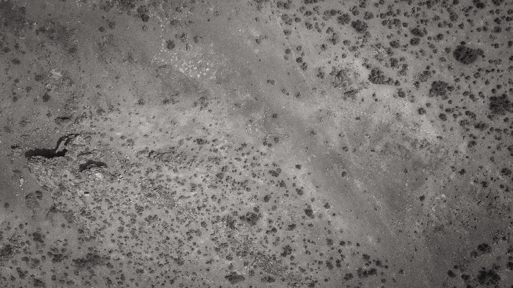 20180410-143641-DJI_0050-Edit.jpg