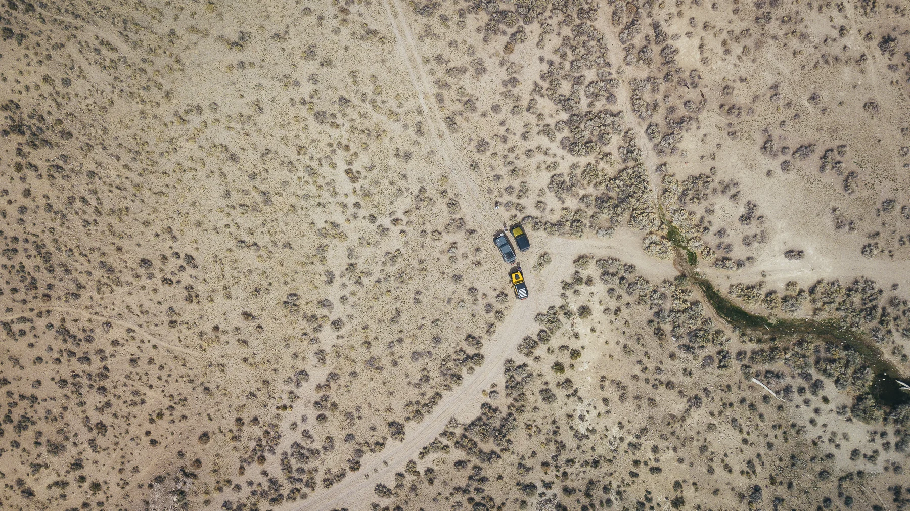 Exploration, Feeling the Call of the Wild