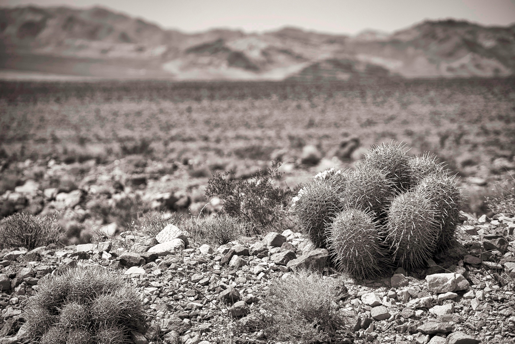 Managing Fear &amp; Having Courage