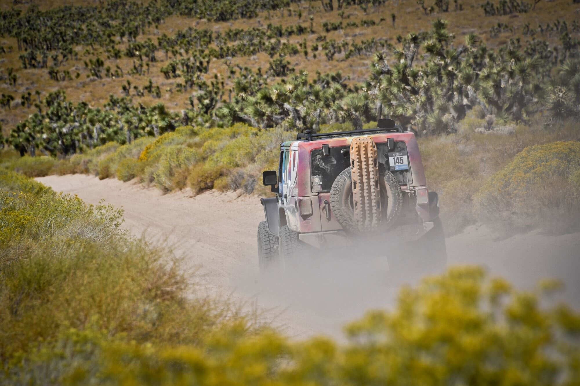 paolobaraldi_day3 (499).JPG