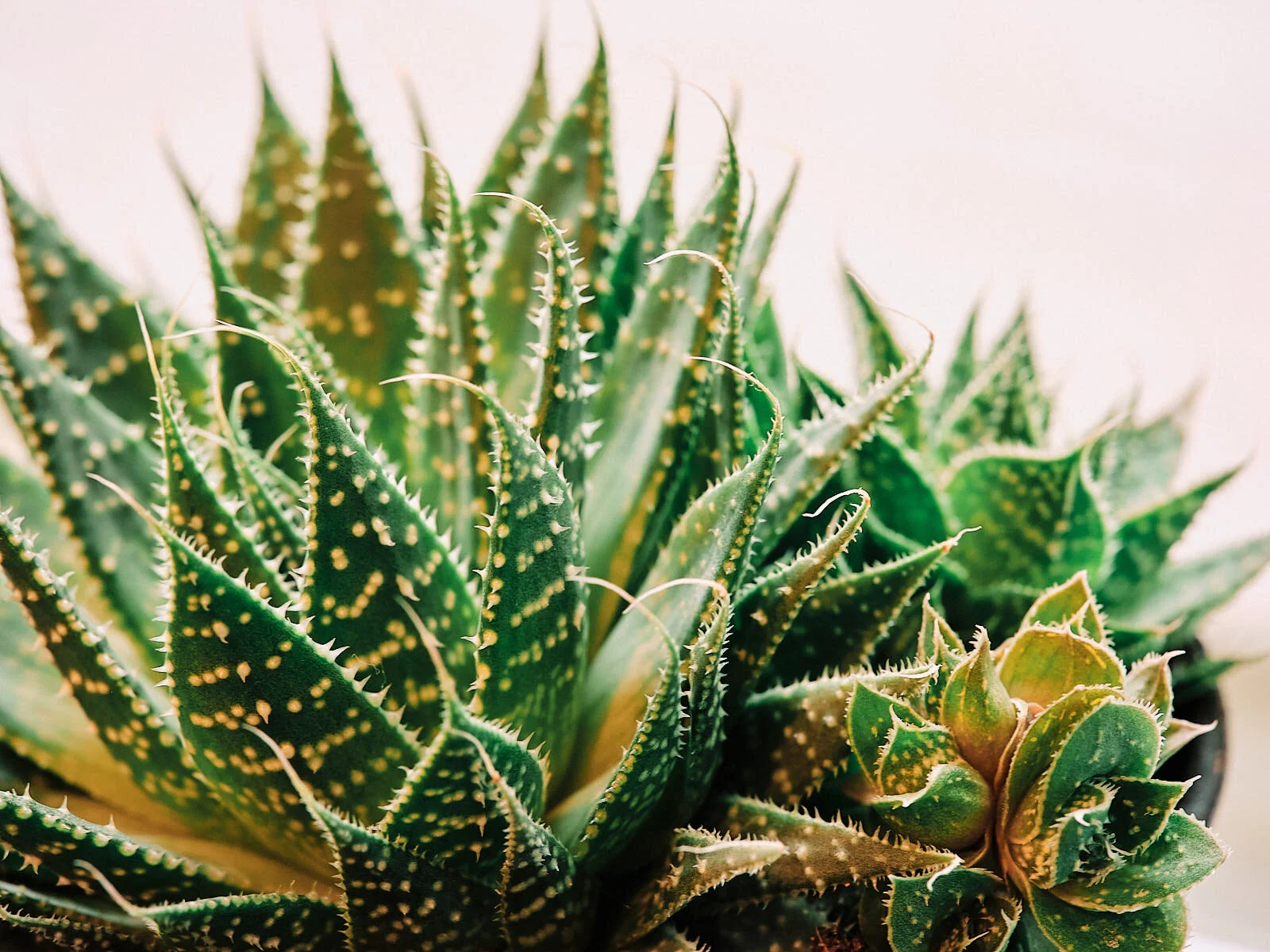 Some periods of our growth are so confusing...