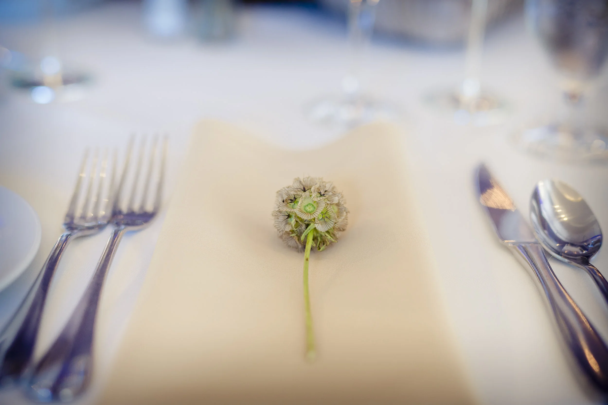 Mandi & Jared-621.jpg