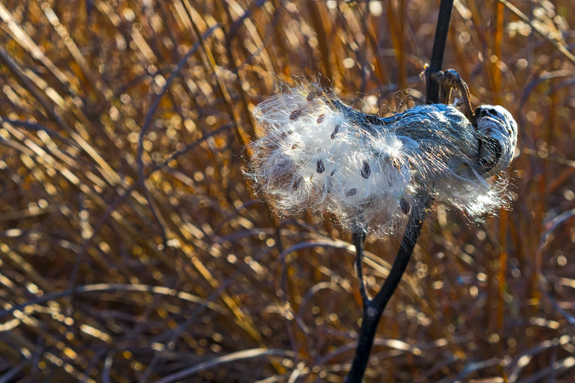 2014-10-26_FallSony_Booker_0110-Edit-Edit-Edit-Edit.jpg