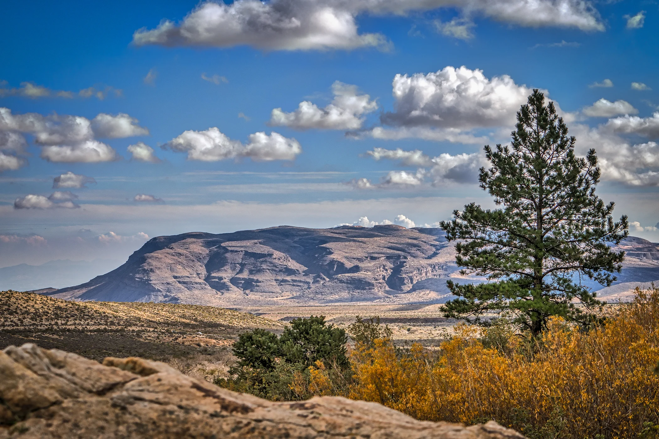 2014-12-07_USHJAAM_Booker_0417-Edit.jpg