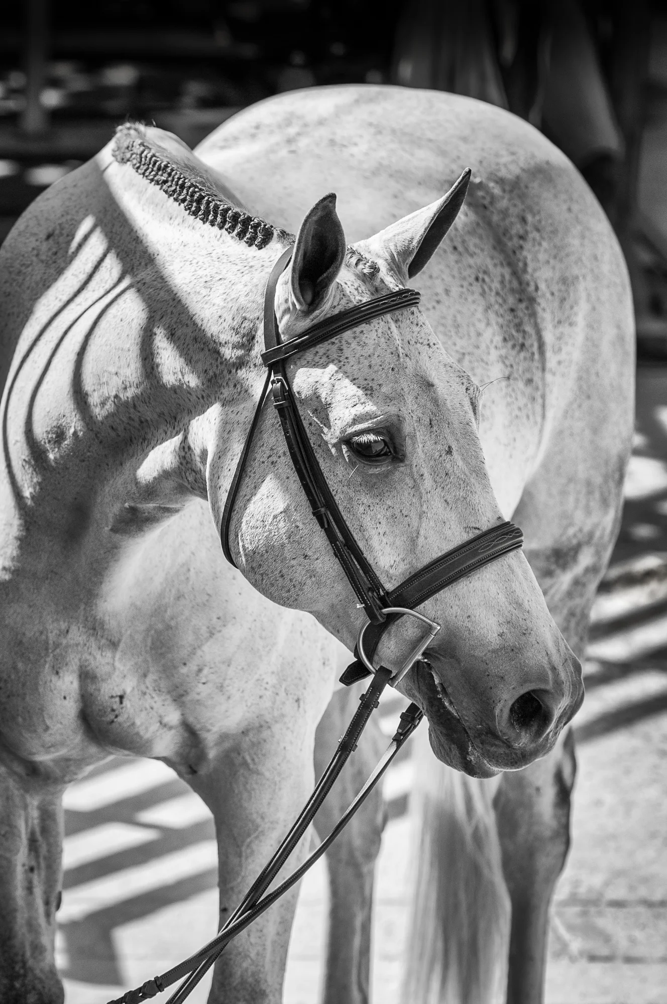 2014-10-05_CCHS_Booker_1337-Edit.jpg
