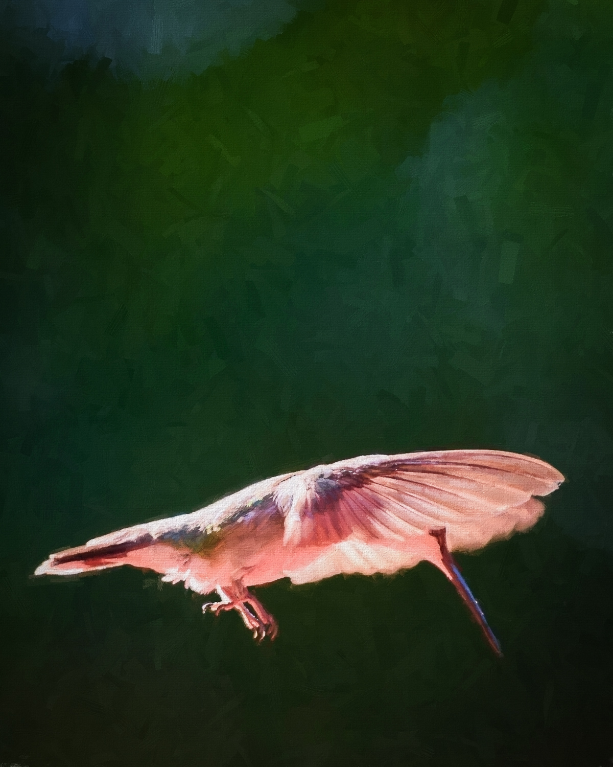 2015-06-24_Hummingbirds_Booker_0108-Edit.jpg