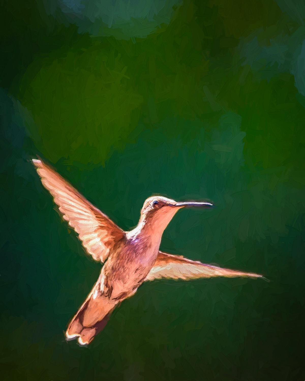 2015-06-24_Hummingbirds_Booker_0096-Edit-Edit-Edit.jpg