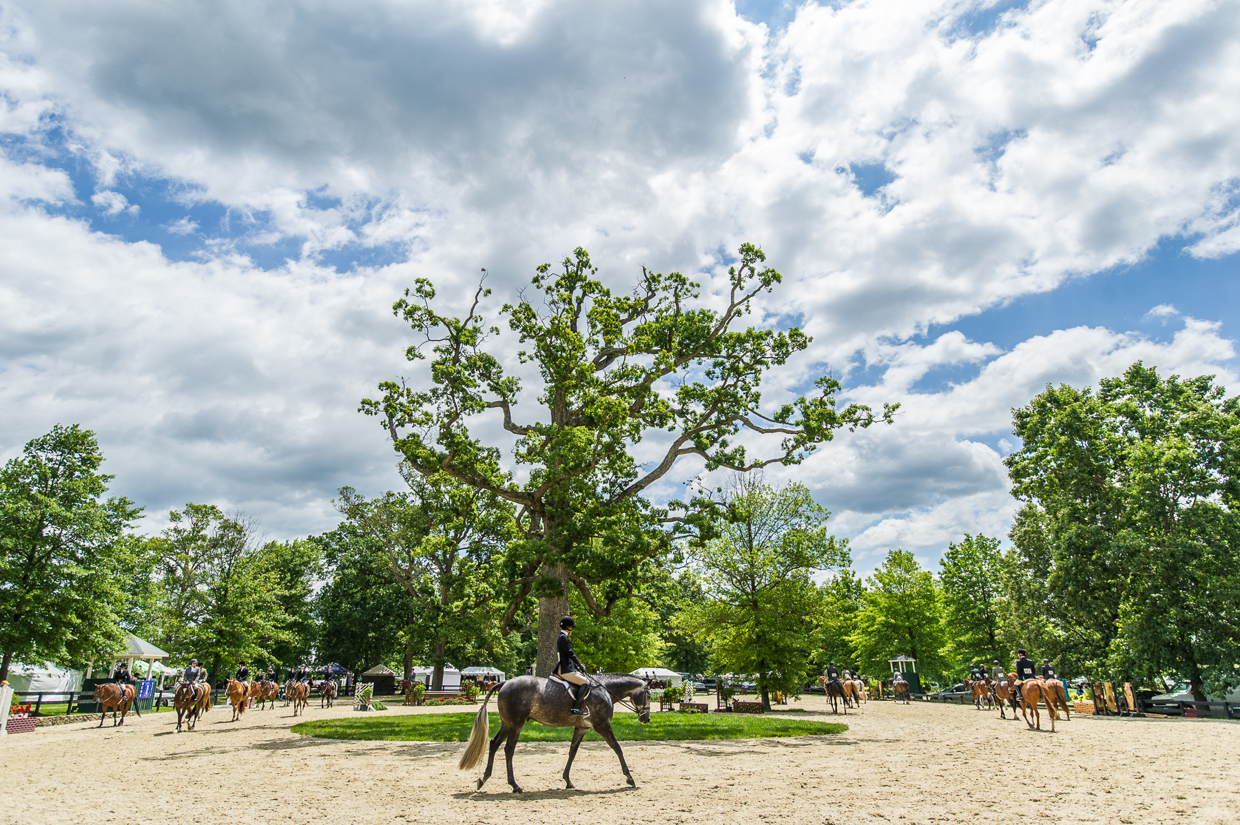 2012-06-04_Upperville_Booker_0080.jpg