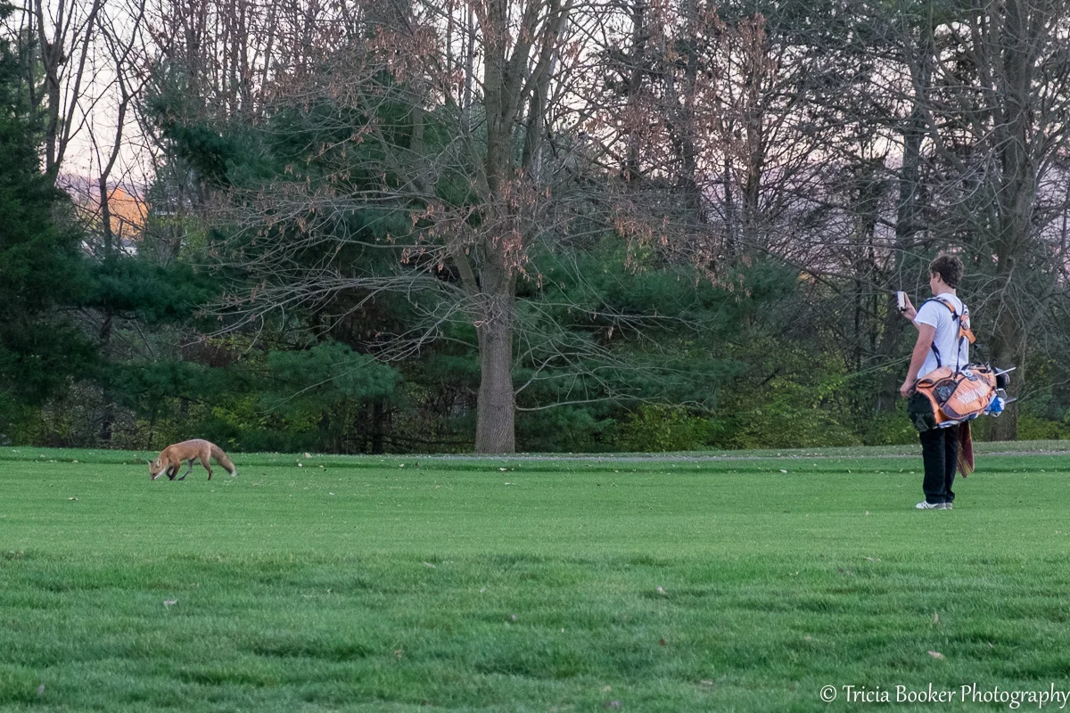 2015-11-05_GolfFox_Booker_0196.jpg