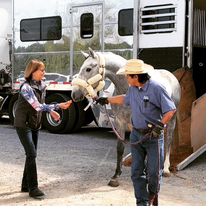 A Sunny day in South Carolina! My horse On Point (Osilvis&mdash;Carma, Cartouche Z), nicknamed Sunny, arrived in Charleston to begin a new adventure at White Horses LLC! We will miss our family @mwstables in Reno, Nevada, but we hope to represent the