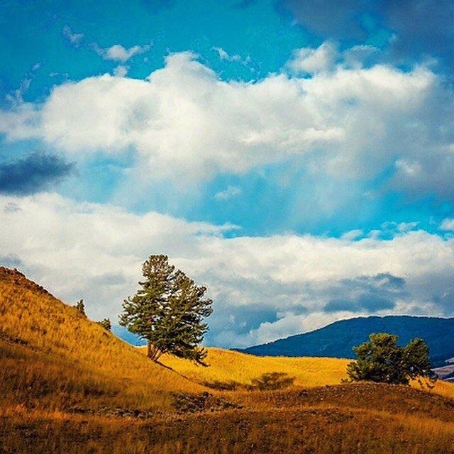 Happy Earth Day! #everydayshouldbeearthday #yellowstonenationalpark