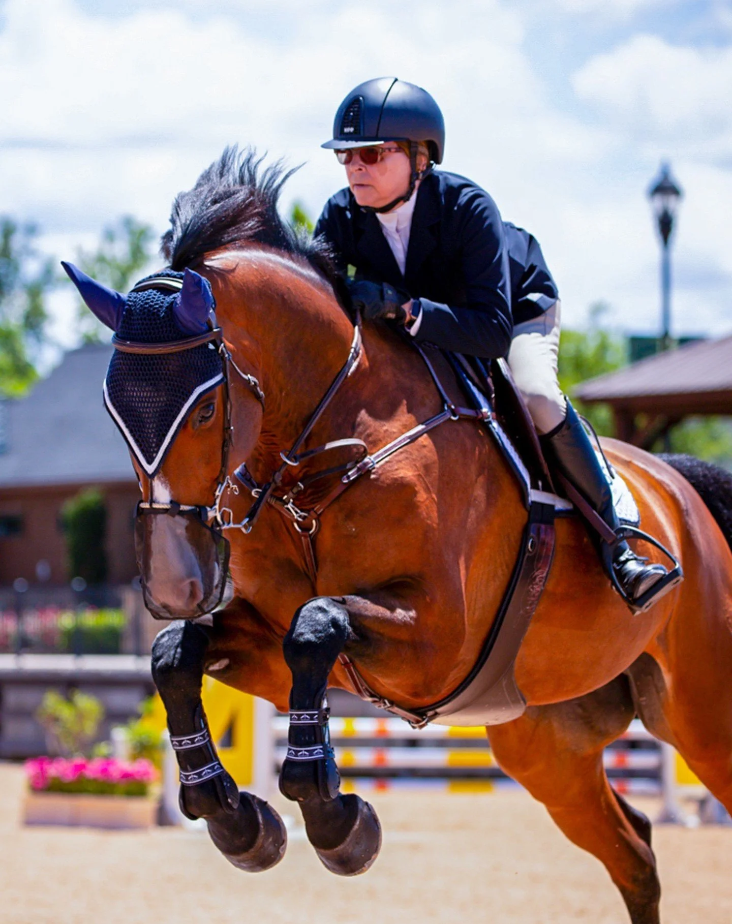 I had a wonderful time returning to the show ring at the Tryon Spring 1 aboard the lovely Balou De Nous! Special thanks Anders Paulson for offering me the ride this schoolmaster and for cheering me on. I couldn't have done it without the support of t