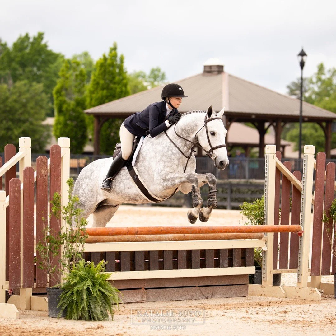So proud of @lbc_equestrian and Painted Horse LLC's On Point "Sunny" for their great performances at the Tryon Spring 1! A win in the 3'3" Junior, 16-17, Handy and other top ribbon in the division and in the medal classes! Special than