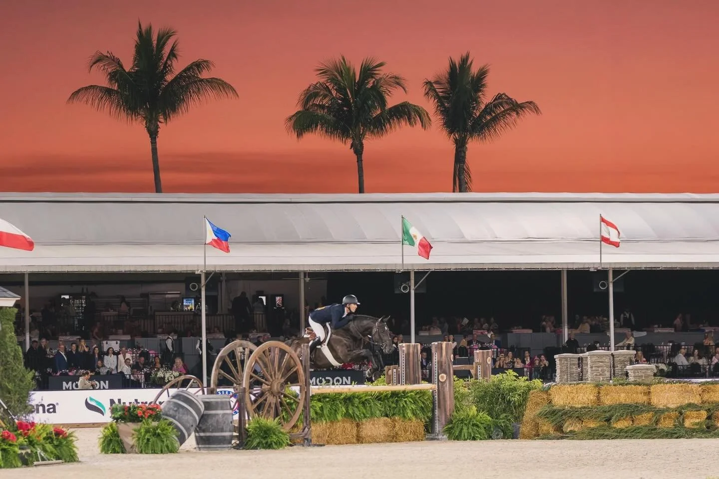 Welcome Year of the Fire Horse! #yearofthefirehorse