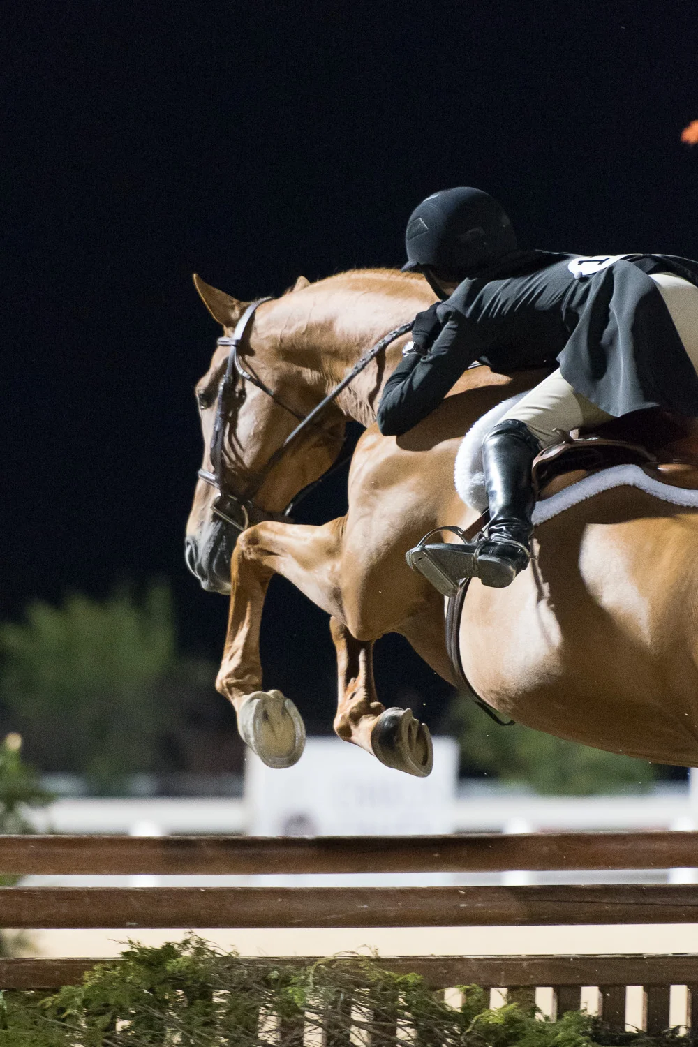 Liza Boyd and Brunello in action.
